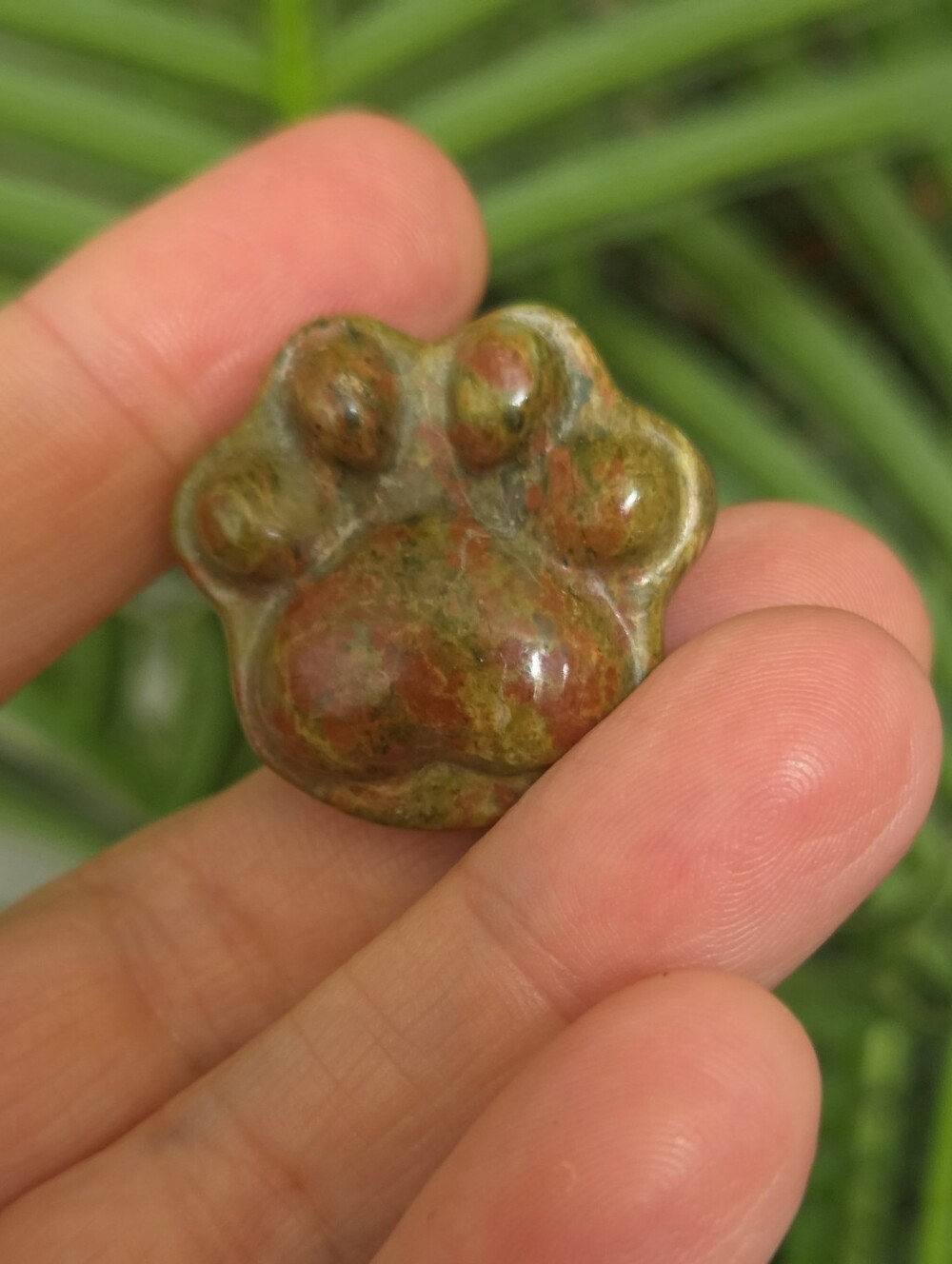 Unakite Paw Worry Stone